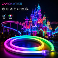 RAYMATES LIGHTING Bande lumineuse LED flexible DC24V adressable Pixel WS2811 pour extérieur, télécommande, IP67, paysage