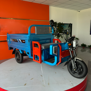Triciclo Eléctrico de Alta Calidad para Transporte de Pasajeros en Sudáfrica e <span class=keywords><strong>India</strong></span>, Triciclo Eléctrico de 3 Ruedas para Viajes Urbanos para Adultos - Product Image 2