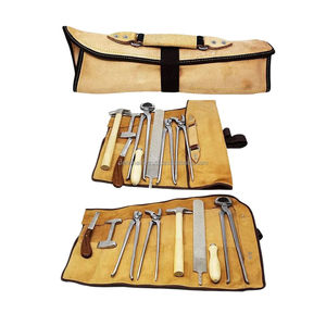 Kit d'outils professionnels pour le soin des sabots de chevaux, pinces, cisailles, marteau, couteau, acier, certifié CE, clinique vétérinaire - Product Image 1
