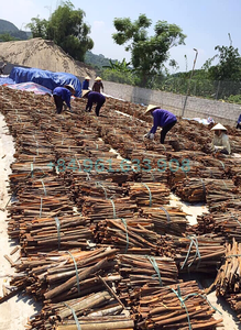 Bâton de cannelle séché CASSIA de haute qualité au Vietnam à bas prix - Product Image 6