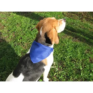 Collier pour chien Rex personnalisé, produit promotionnel pour animaux de compagnie - Product Image 2