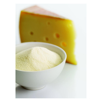Herbojit International, Queso en Polvo Liofilizado 100% Natural de Calidad Superior (Cheddar), Hecho en India, 12 Meses de Duración, Bolsa de Polietileno