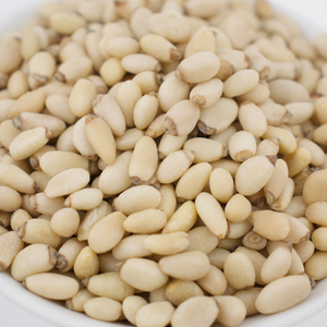 Good Quality Top Selling <b>Pine</b> Nuts Available in Custom Packing for Bakery Cooking and Food Processing For Sale - Product Image 6
