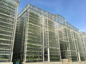 Système de jardin hydroponique vertical à usage domestique ONE-one Serre Équipement aéroponique pour l'irrigation hydroponique pour l'agriculture - Product Image 6