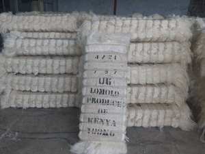 Fibre de sisal de qualité supérieure 2026, fibre naturelle blanche pour le filage, béton, ignifuge, matériau de remplissage - Product Image 3