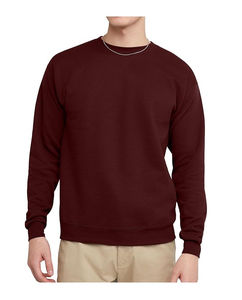 Sweat-shirt de fitness 100% coton de haute qualité pour hommes OEM nouveauté sweat à capuche d'hiver sweat-shirt épais teint en plaine pour la musculation - Product Image 1