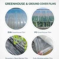 Film de paillage PE blanc écologique compostable résistant aux UV pour le contrôle des adventices et le maintien du sol chaud en agriculture, idéal pour la couverture des sols et des légumes