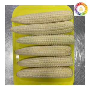 Maíz congelado para bebé, granos de maíz IQF, maíz amarillo dulce, mazorca blanca entera, verduras mixtas, fábrica de exportación, productos agrícolas a granel - Product Image 6