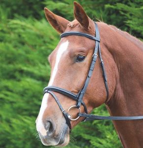 Brida de caballo de PVC de diseño anatómico fabricada con características de doma anatómica para mayor comodidad y rendimiento - Product Image 1