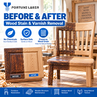 Machine de nettoyage laser portable 300W, outil de restauration du bois à laser pulsé pour l'élimination des taches, du vernis et de la peinture, réparation de surface