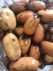 แป้งรากบัวขายดี สำหรับเครื่องดื่มเพื่อสุขภาพ ของหวาน และอาหารเพื่อสุขภาพ - Product Image 3