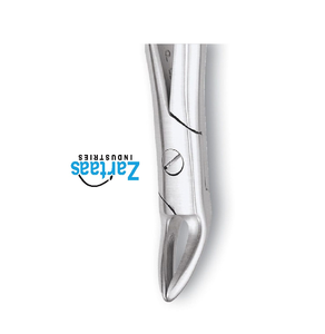 Fórceps de Extracción Dental de Acero Inoxidable de Alta Calidad para Raíces Superiores, Modelo 76N, Exportadores y Fabricantes - Product Image 2