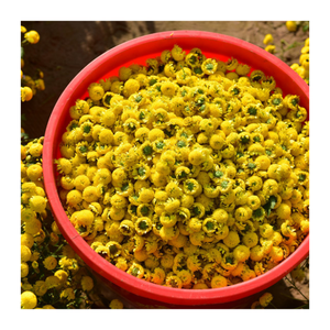 Manzanilla de margaritas de Vietnam-Flores enteras secas con aroma dulce Para tés relajantes y marcas holísticas - Product Image 3