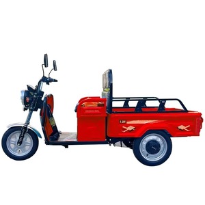 Tricycle à cargaison à 3 roues Tricycle électrique Mini camion à benne basculante électrique avec cabine - Product Image 3