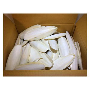 Cuttlebone de pájaro para periquitos-cuttlebone incluyendo comida para mascotas de acero inoxidable para pájaros - Product Image 5