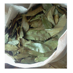 ใบทุเรียนเทศแห้ง100% | งานฝีมือป่า, มือหยิบและอากาศแห้ง | guanabana graviola - Product Image 1