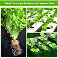 Cubes de laine de roche de 6 pouces pour culture hydroponique, support de culture pour la propagation des plantes, laine de roche pour le jardin