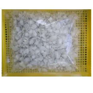 Bulk export of seafood snack nutritional supplements, specifically collagen-rich fish scale, at a high quality and wholesale low