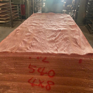 Vietnam Bintangor Plywood Panels with Eucalyptus Core <b>for</b> Furniture and Door Production - Product Image 4