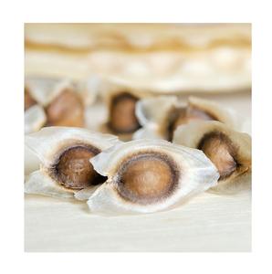 Vente en vrac de graines de Moringa biologique - Product Image 1