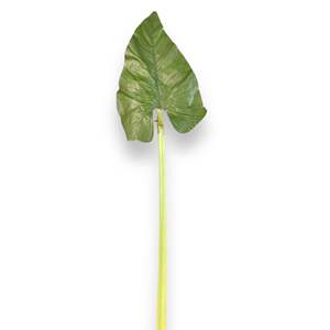 Hoja tropical 80cm W - Product Image 2