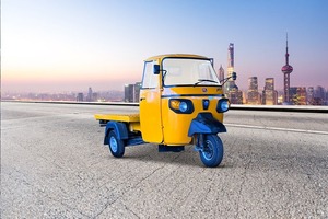 Meilleur prix Piaggio Ape Rickshaw, camion cargo à carrosserie ouverte, 48V 251-350W, pour café, bière et nourriture, bar mobile, livraison rapide - Product Image 3