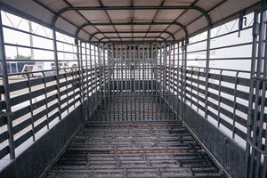 Remorque pour bétail de qualité supérieure, 14 pieds, trois essieux, 3500 kg de masse brute, avec portes centrales amovibles - Product Image 5