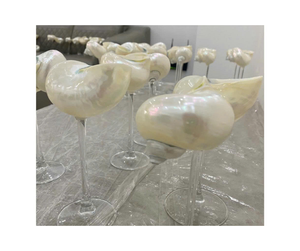 แก้วเปลือกหอยสุดพิเศษสำหรับตกแต่งสินค้าส่งออกราคาดีไม่เหมือนใครสำหรับเสิร์ฟค็อกเทลหรือแชมเปญ - Product Image 5