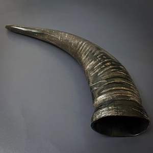 Cuerno de búfalo Natural pulido hecho a mano, respetuoso con el medio ambiente para joyería, mango de cuchillo, taza y decoración, estilo Animal - Product Image 1