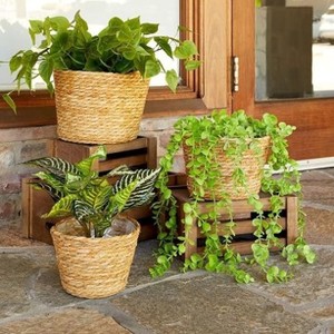 Handwoven Straw Flower Pot <b>Basket</b> for Indoor & Outdoor Set of 3 <b>plant</b> pots Made in Vietnam - Product Image 5