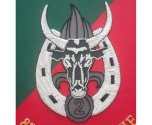 Gran oferta, chaqueta bordada hecha a mano de calidad superior, insignias de estilo de lujo, uniforme, insignias de lingotes hechas a mano - Product Image 6