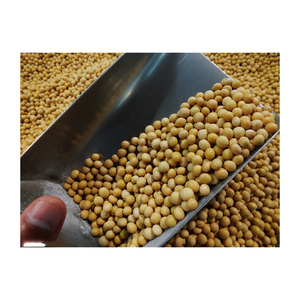 Soja de qualité supérieure en vrac pour l'exportation en gros – Produit agricole de qualité export - Product Image 3