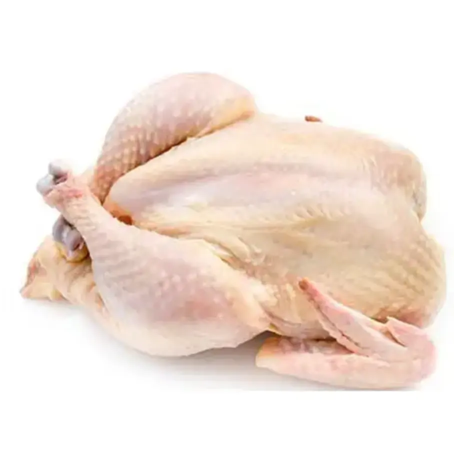 プレミアムグレードの冷凍鶏肉/冷凍鶏肉