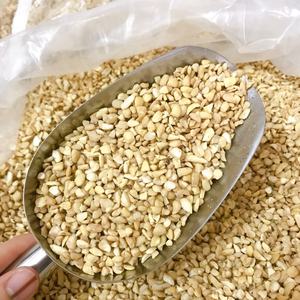 เม็ดมะม่วงหิมพานต์ราคาถูกกว่าจากเวียดนามเพื่อการส่งออก / SP LP เม็ดมะม่วงหิมพานต์อาหารสําหรับมนุษย์ - Product Image 1