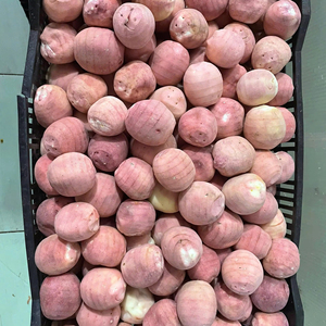 เปลือกเสาวรสแช่แข็งจำนวนมากข้อเสนอพิเศษจากผู้ผลิตในเวียดนาม - Product Image 4