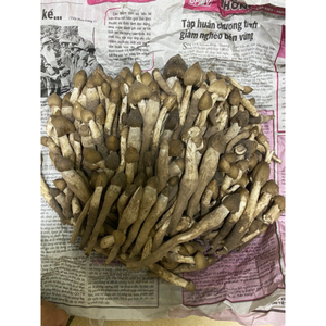 SETA DE TERMITAS SETAS SEDA DE ALTA CALIDAD ETIQUETA LIMPIAR INGREDIENTE NATURAL DE APOYO INMUNE - Product Image 2