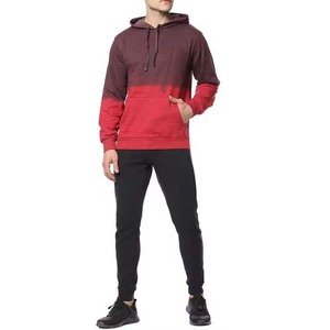 100% coton OEM Service personnalisé à manches longues pull hommes vêtements sweats à capuche du Pakistan dernière conception basiques à capuche - Product Image 2