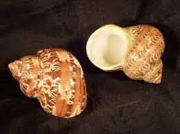 High Quality of Decoration Item - <strong>Tapestry</strong> Turban Seashell From Vietnam - Wholesale Ready in Stock - Product Image 4