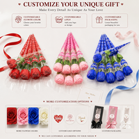 Savon en forme de fleur de carnation multicolore pour la fête des mères, rose unique, cadeau pour la Saint-Valentin, bouquet de savon, décoration pour la maison