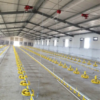 Estructura de Acero Prefabricada Ligera Profesional para Granjas Avícolas, Estructura Espacial con Servicios de Soldadura y Doblado, Estándar ASTM