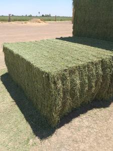 หญ้าชนิตสำหรับม้าและวัวควายอาหารสัตว์อายุการเก็บรักษา12เดือนบรรจุในถุง - Product Image 3