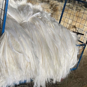 Fibra de Sisal Cruda Premium, Fibra Natural de Alta Calidad, Suministro a Granel para Exportación, Fabricación y Uso Industrial - Product Image 6