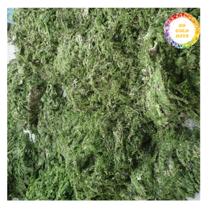 Poudre d'algues vertes en vrac pour les marchés alimentaires et des aliments pour animaux internationaux - Product Image 2