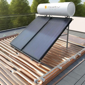 <span class=keywords><strong>Prix</strong></span> du <span class=keywords><strong>chauffe</strong></span>-<span class=keywords><strong>eau</strong></span> <span class=keywords><strong>solaire</strong></span> à plaque plane pressurisé de 300 L - Product Image 1