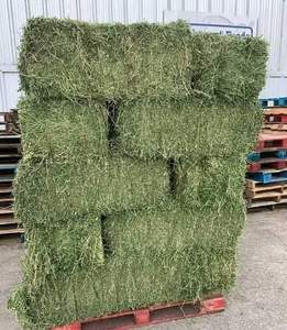 หญ้าแห้งอัลฟัลฟาสำหรับเลี้ยงปศุสัตว์และหมู - Product Image 3