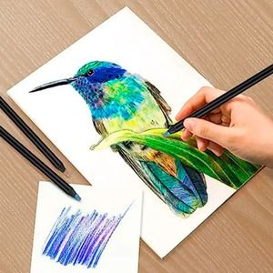 12 crayons de couleur arc-en-ciel multicolores intenses pour l'école - Couleurs assorties - Product Image 4