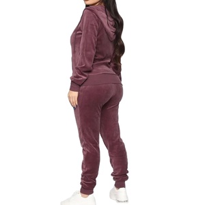 Survêtement en velours à capuche ajusté pour femmes Ensembles pour femmes Brand New Long Sleeve Active Jogger Suit Training Sweat suit2026 - Product Image 3