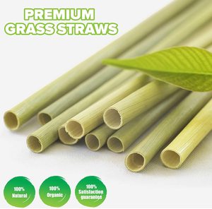 Pajitas de hierba de Vietnam | Pajitas de fibra de bambú biodegradables | Pajitas ecológicas para beber al por mayor - Product Image 6