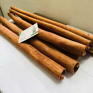 เวียดนาม cinnamom/dalchini/dar seenee ที่มีคุณภาพสูงสุดตัวเลือกการส่งออกที่เป็นมิตรกับงบประมาณ | (วา: 0084366808683) - Product Image 1