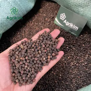 [Beli sekarang] Black pepper Harga terbaik dari produsen Vietnam terpercaya + 84 363565928